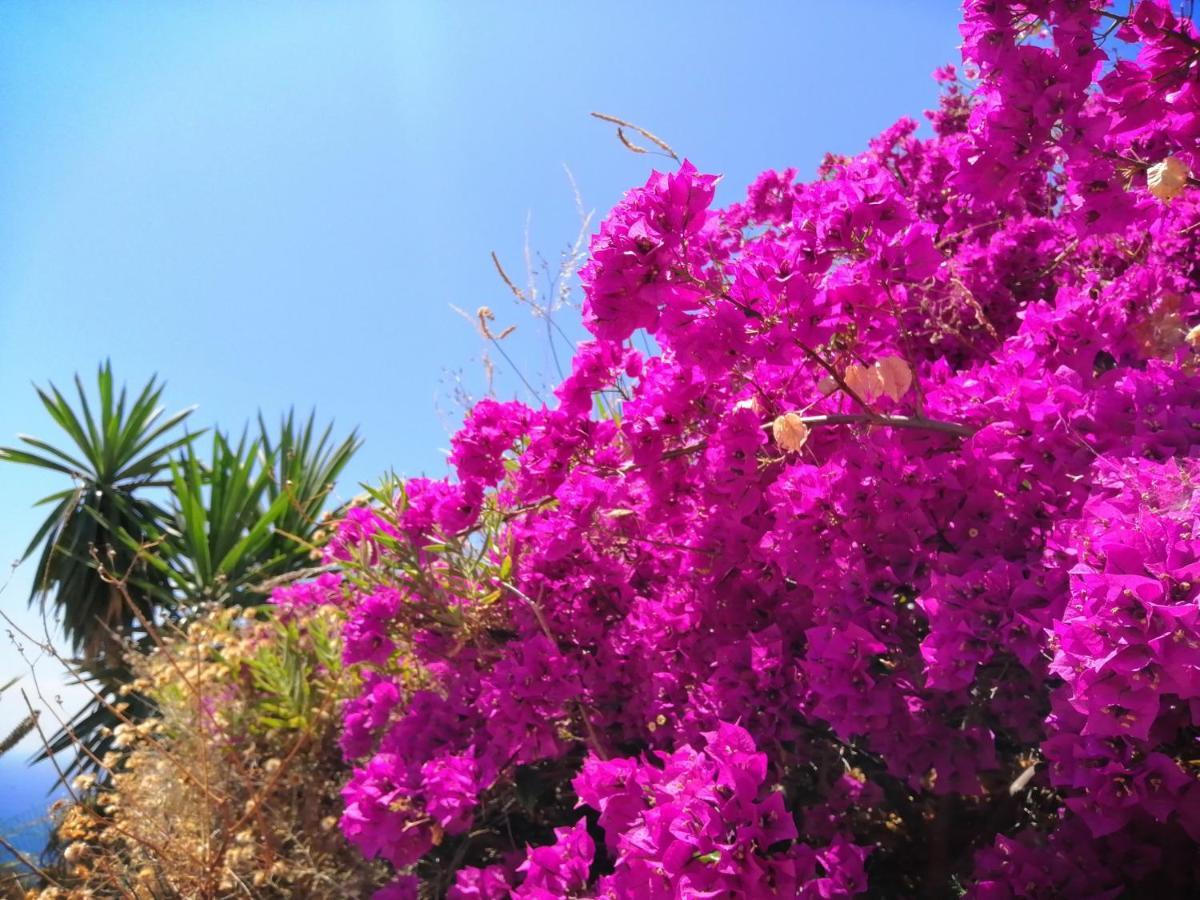 Finca Mariposa Mariposaholidays 内尔哈 外观 照片